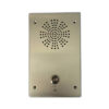 RUKOTA SV-6002TP SIP intercom terminal